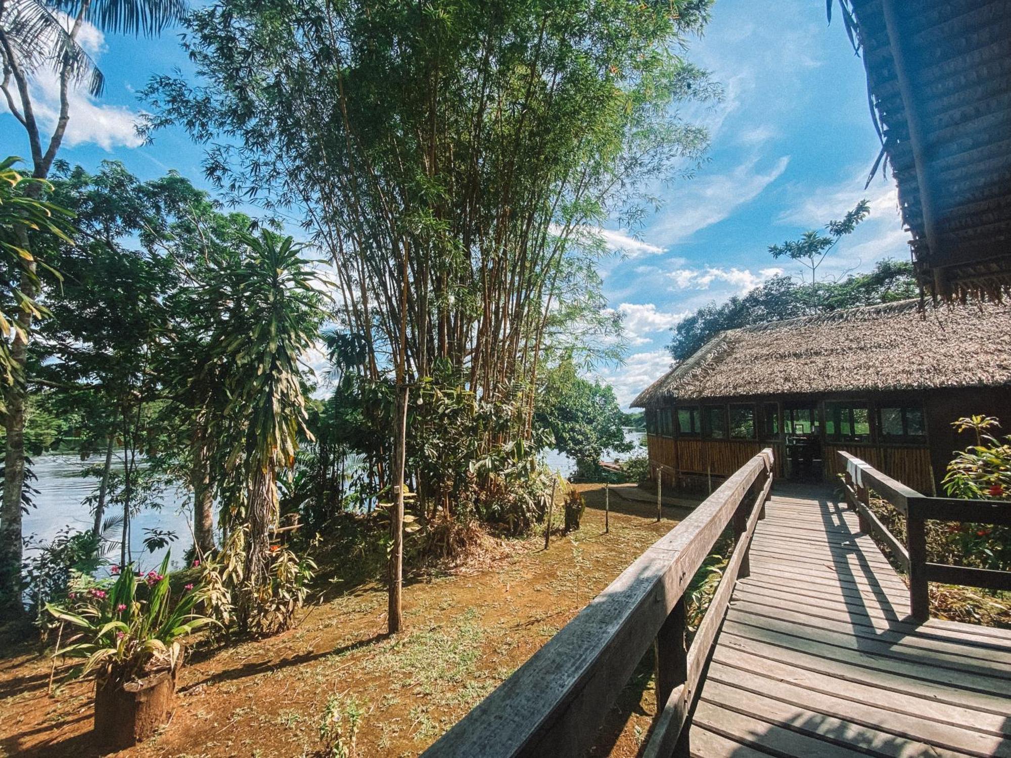 Dolphin Lodge Careiro Δωμάτιο φωτογραφία